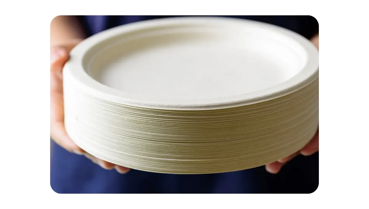 Paper Plate Shot Put