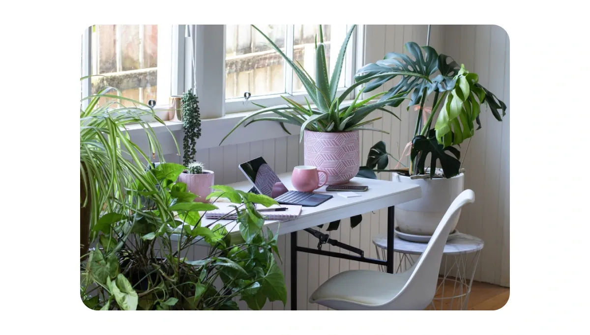 Remote Work Considerations