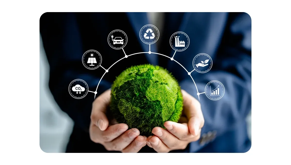 What is environmental wellness