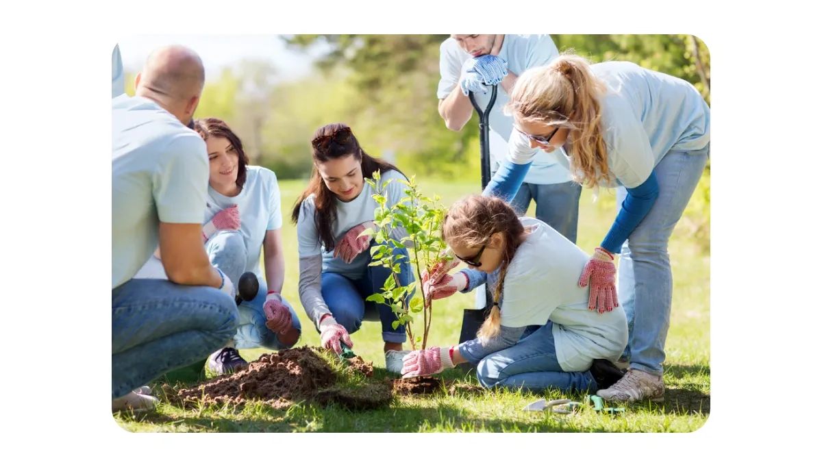 Social and Environmental Wellness