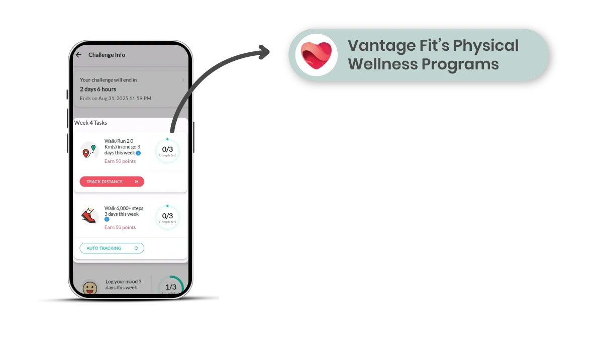 physicall wellness initiative of vantage fit.webp