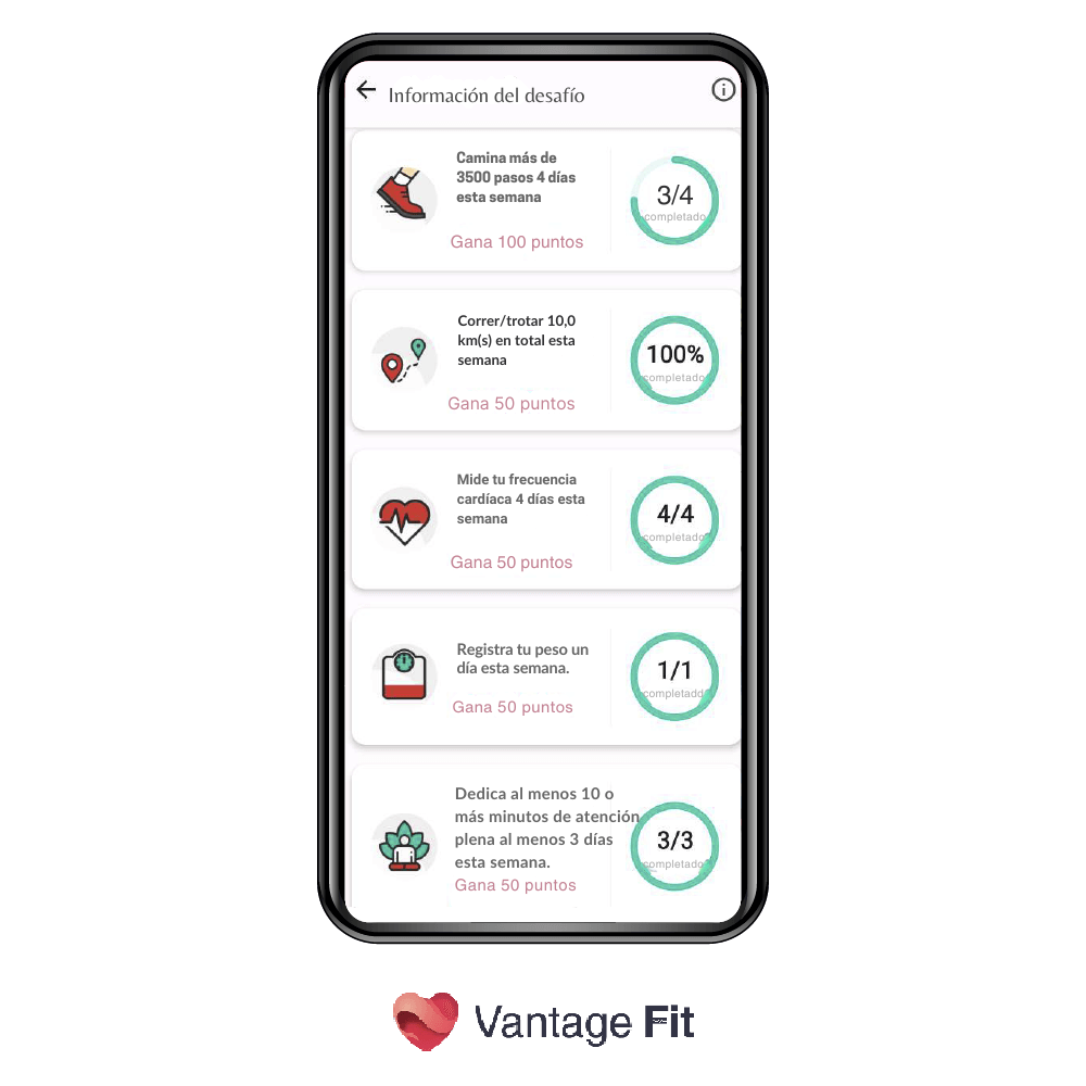 Información del desafío.png